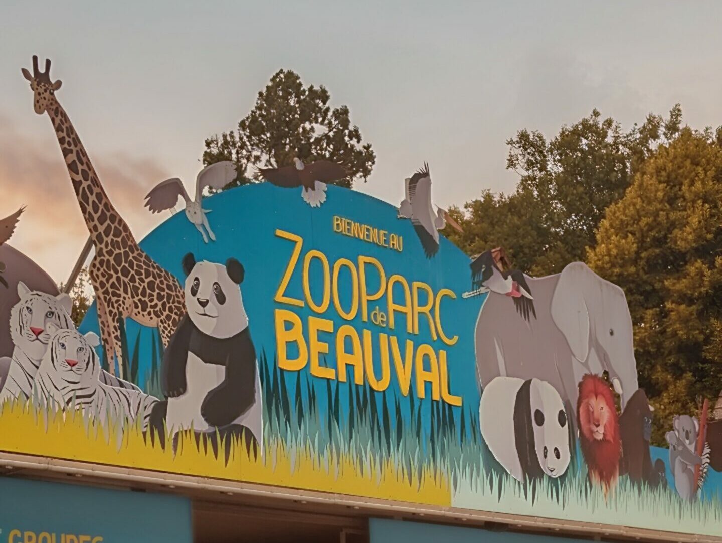 Une ronde au Zoo de Beauval !