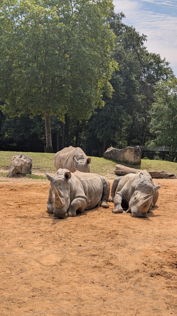 parc zoologique