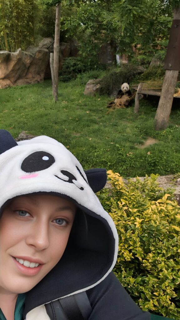zoo animaux
