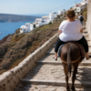 touristes en surpoids