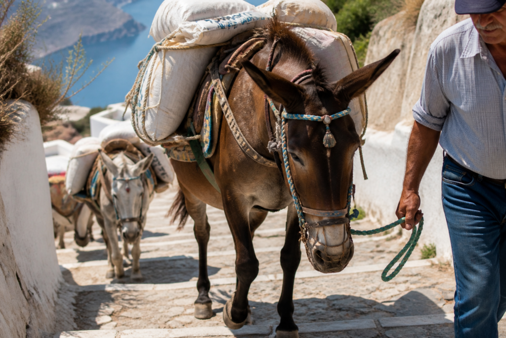 grece